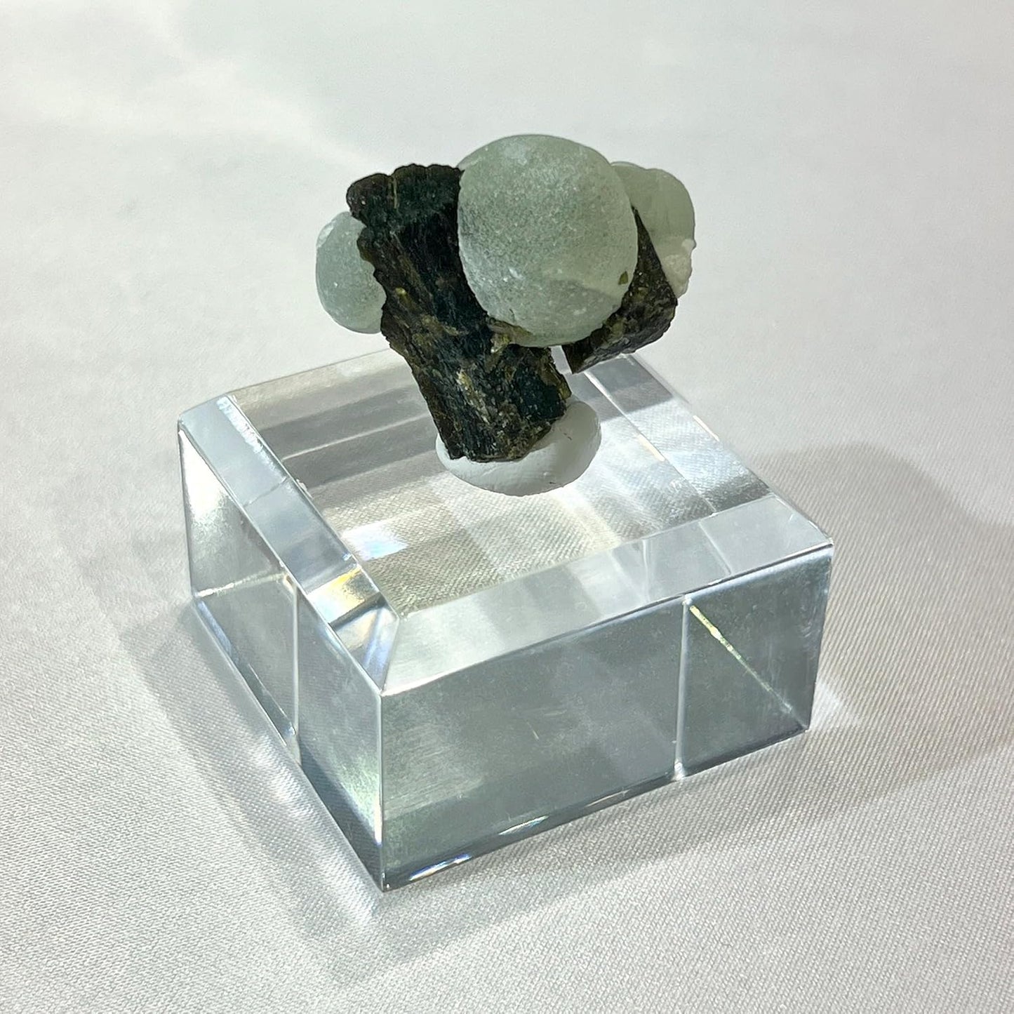 ミネラルタック 【3倍量】 210g お徳用 鉱物用 天然石 鉱物用粘土 接着 標本固定用粘土 アクリルベース 210g