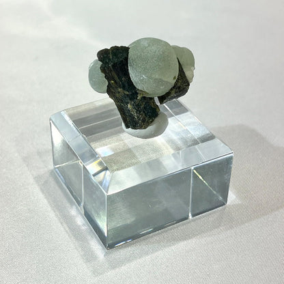 ミネラルタック 【3倍量】 210g お徳用 鉱物用 天然石 鉱物用粘土 接着 標本固定用粘土 アクリルベース 210g