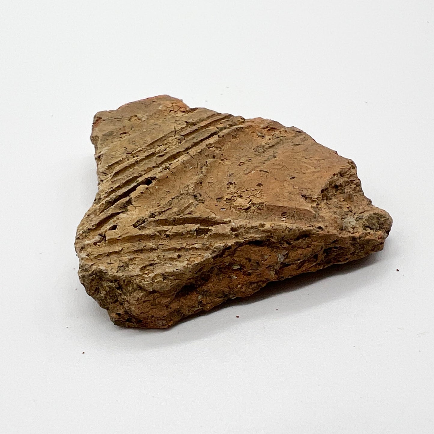 縄文土器 破片 本物 青森産 歴史資料 縄文文化 遺跡 縄文時代 (5-7cm)
