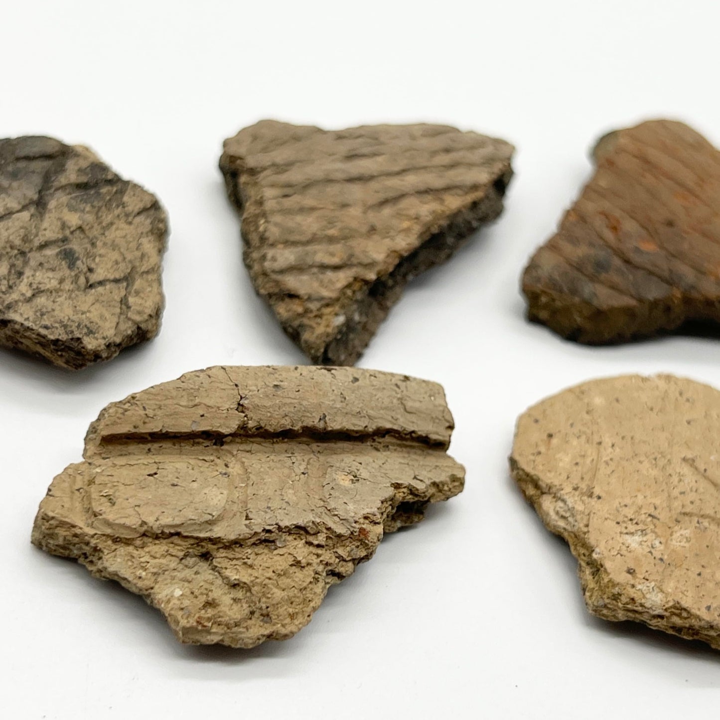 縄文土器 破片 本物 青森産 歴史資料 縄文文化 遺跡 縄文時代 (5-7cm)