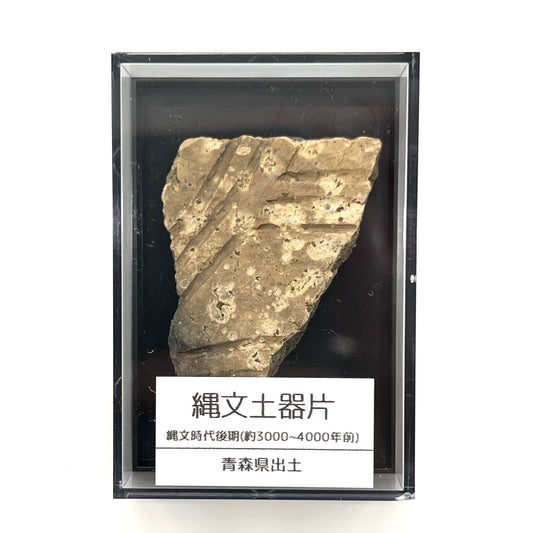 縄文土器 破片 本物 青森産 歴史資料 縄文文化 遺跡 縄文時代 (5-7cm)